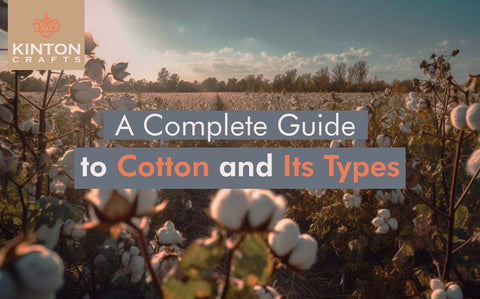 A Complete Guide to Cotton and Its Types